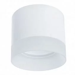 Arte Lamp CASTOR Белый A5554PL-1WH