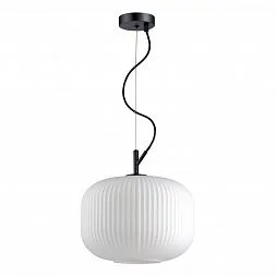 Подвес Odeon Light 4754/1