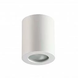 Потолочный накладной светильник Odeon Light 3571/1C