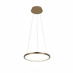 Подвесной светильник LOFT IT Ring 10014S